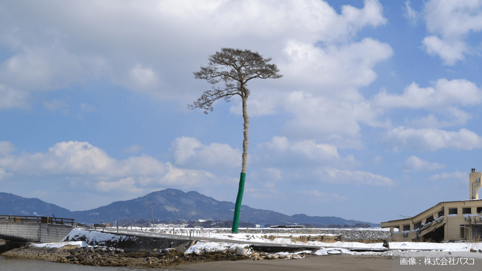 地球の学校_20260311_東日本大震災
