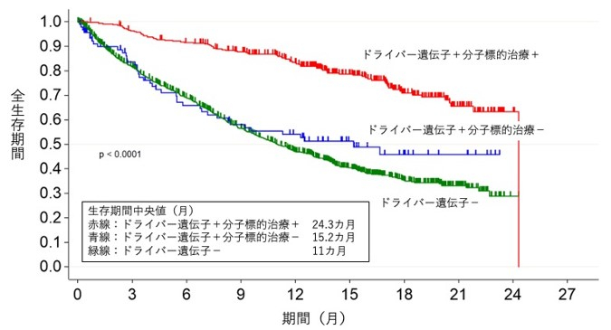 図 ドライバー遺伝子変異の有無と標的治療の有無による全生存期間の分類　遺伝子検査の結果、ドライバー遺伝子が見つかり分子標的治療が受けられた群（赤線）、ドライバー遺伝子が見つかったが分子標的治療が受けられなかった群（青線）、ドライバー遺伝子が見つからなかった群（緑線）の生存曲線
