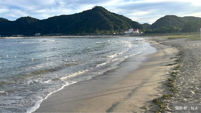 地球の学校_20260301_CO2を吸収する海草の力