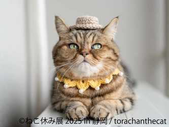 祝 ねこ休み展10周年！＆新作ミニチュアアートが静岡上陸♪ 「ねこ休み展」「ミニチュア写真の世界展」 6/14(土)～7/21(月・祝) 静岡パルコで開催！