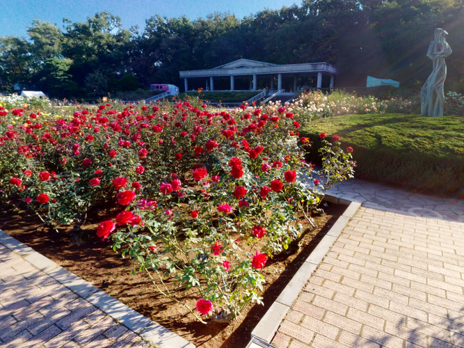 バーチャル体験で園内を歩いているような気分に