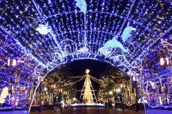 多摩センターのパルテノン大通りを照らす壮大なイルミネーションは多摩市の冬の風物詩（画像提供：多摩センター地区連絡協議会）