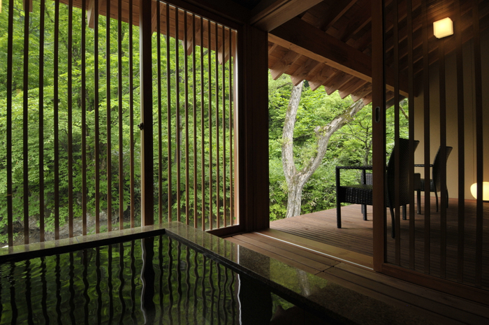 宿泊補助券付き(特典)