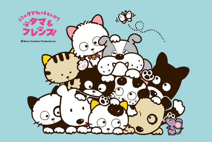 「タマ&フレンズ~うちのタマ知りませんか?~」