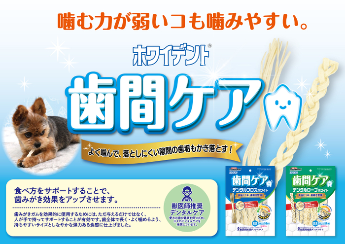 ホワイデント 歯間ケア