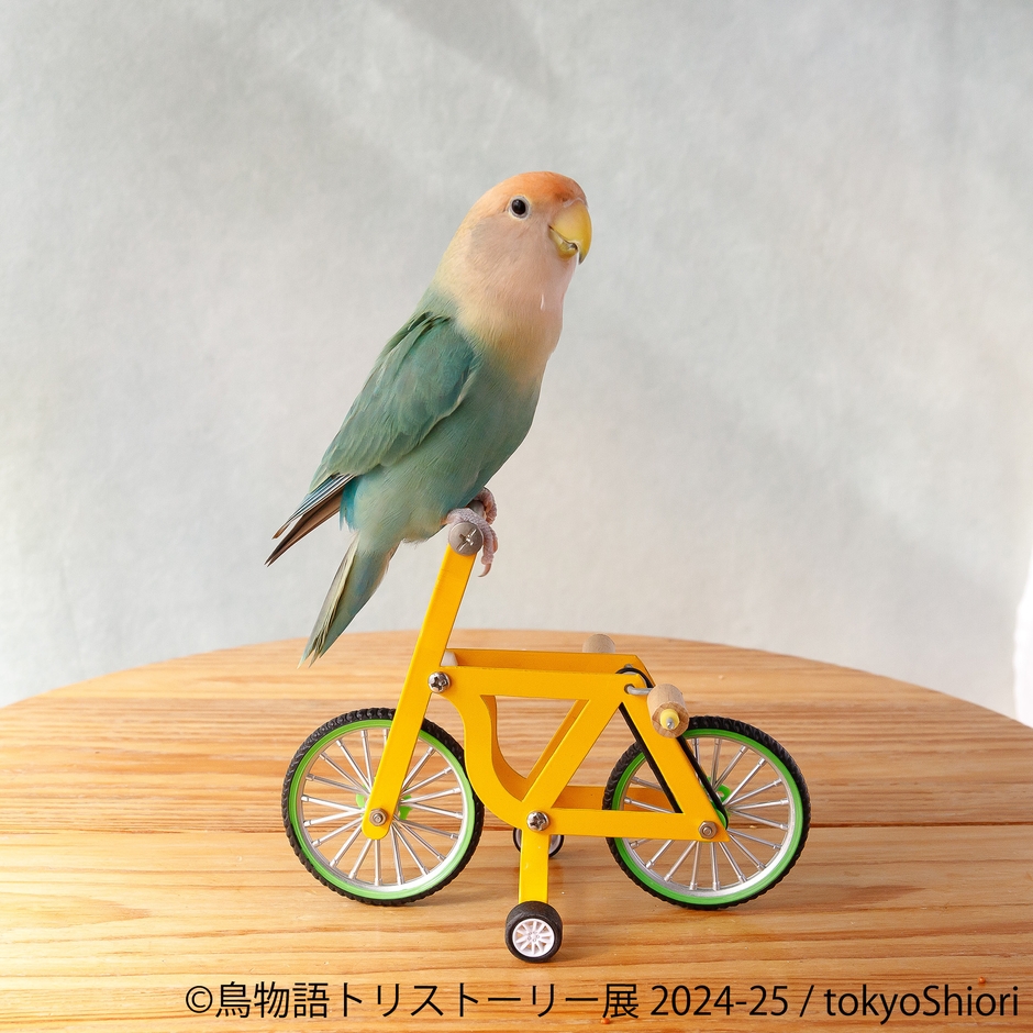 展示作品8
