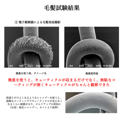 キューティクルの健やかさ