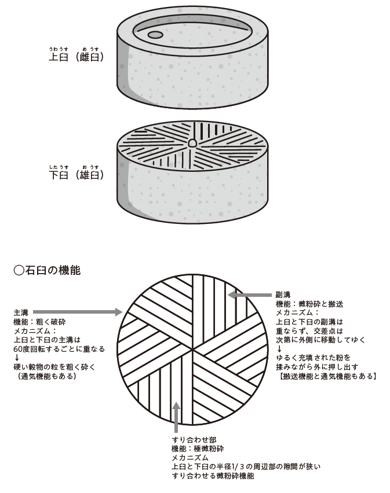 そば粉挽き臼の断面図
