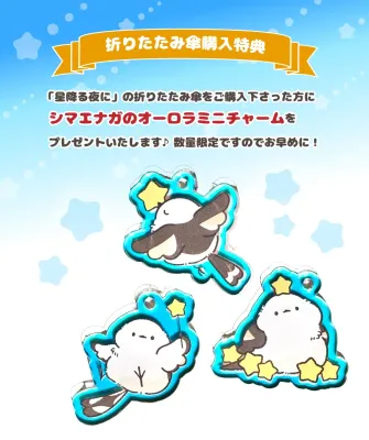 数量限定!購入特典♪