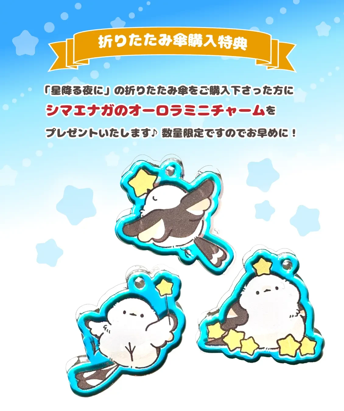 数量限定！購入特典♪