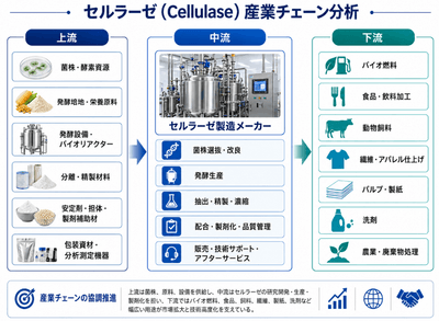 図.   セルラーゼの産業チェーン