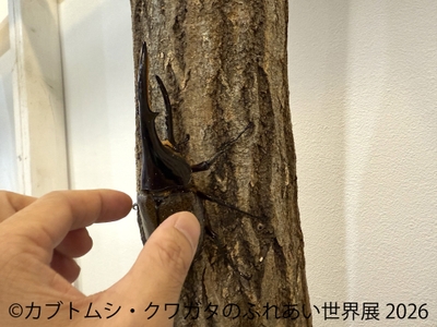 ふれあい体験(1)