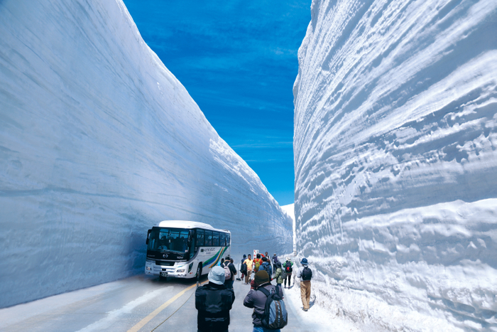 高さ20mにも迫る雪壁「雪の大谷ウォーク」