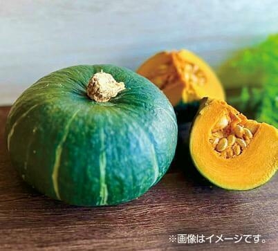 かぼちゃ積み放題(8/1(土)のみ)