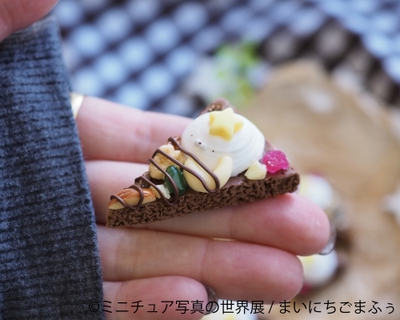 グッズ:まいにちごまふぅ