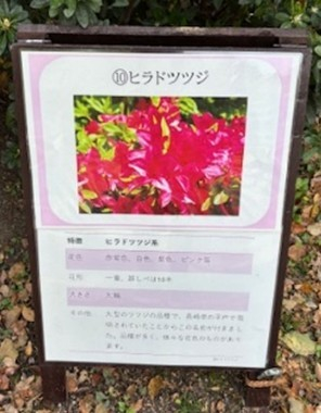 ツツジの樹名板（イメージ）