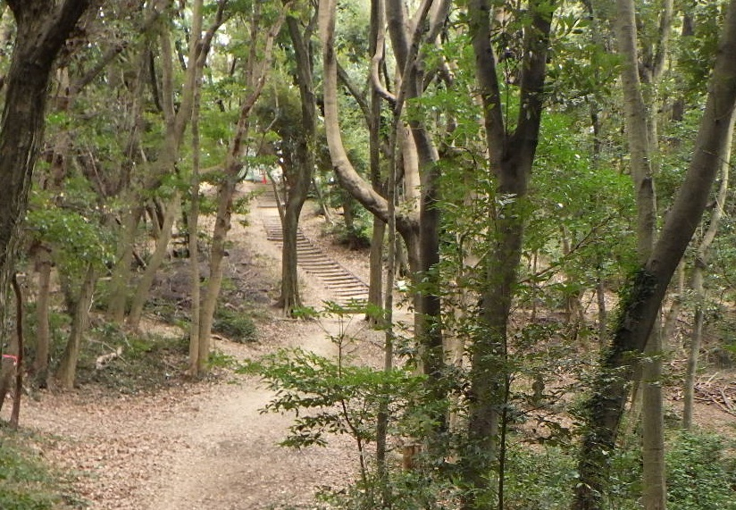 鴻巣山の遊歩道