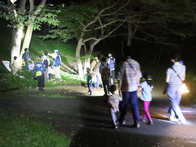 夜の生き物をさがしに行こう！