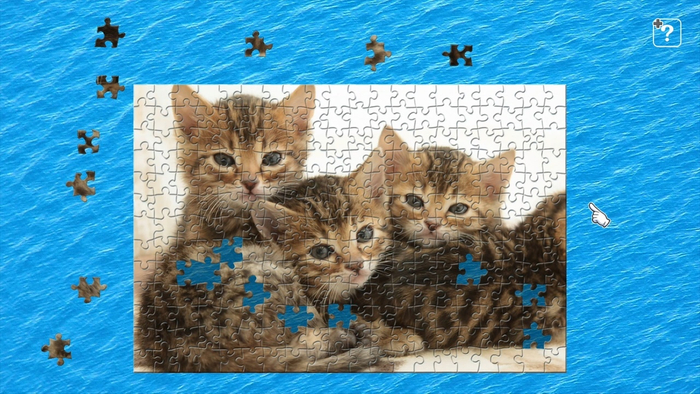 子猫4
