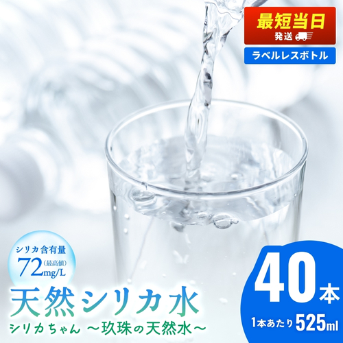 シリカちゃん~玖珠の天然水~