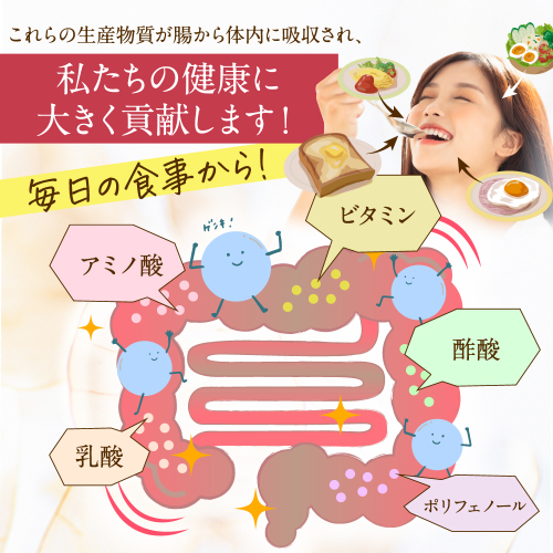 私たちの健康に大きく貢献します