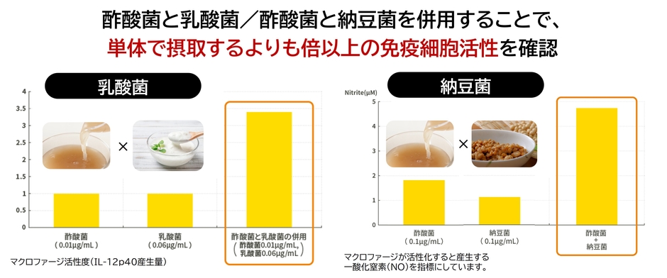 酢酸菌の相乗効果