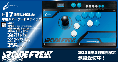 『アーケードフリーク』