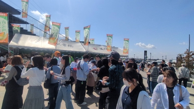 朝一メロン大特価市