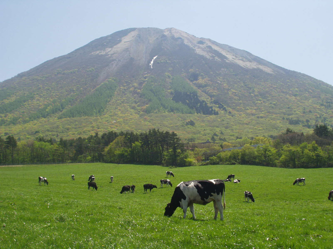 大山と乳牛