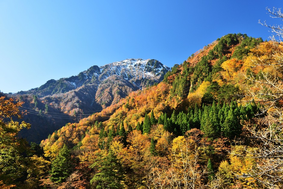 沿線の紅葉