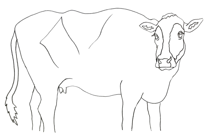 キャンバス下絵イメージ