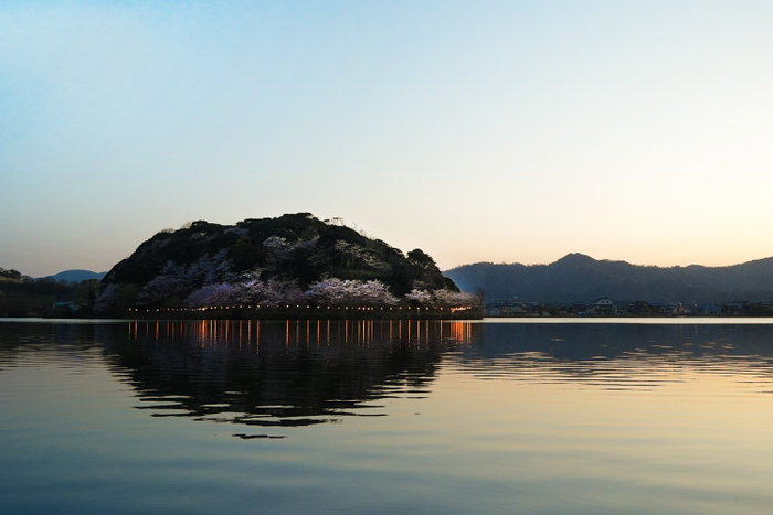 艸花からの眺め。