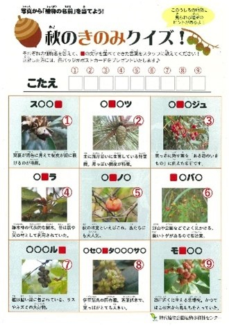 植物クイズ