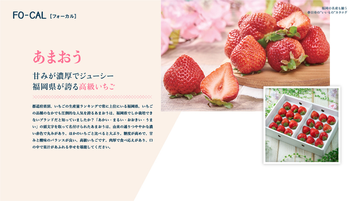 「旅色FO-CAL」福岡県春日市特集　春日市の&ldquo;いいもの&rdquo;カタログ