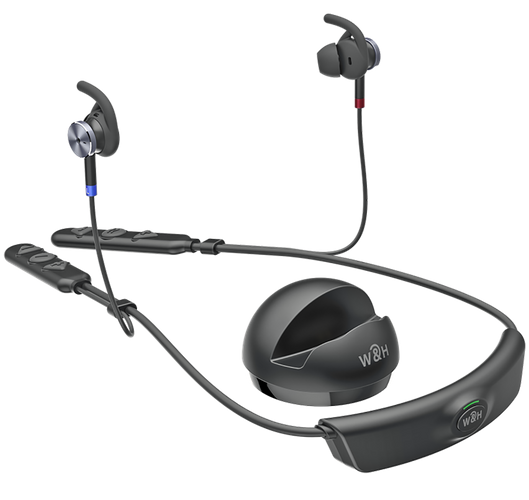 BeHear ACCESSイヤホン本体・クレードル（充電器）