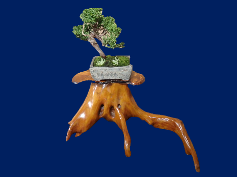 展示品の一例（過去開催時）