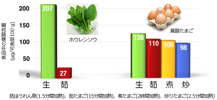 「葉酸たまご」は様々な加熱調理を経ても葉酸が失われにくい