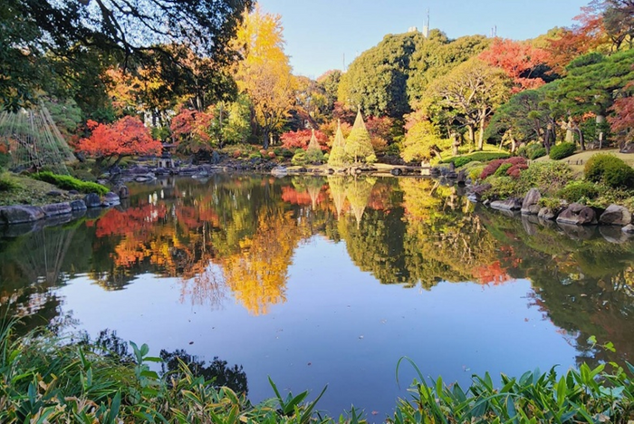 心字池に映る紅葉と雪吊り