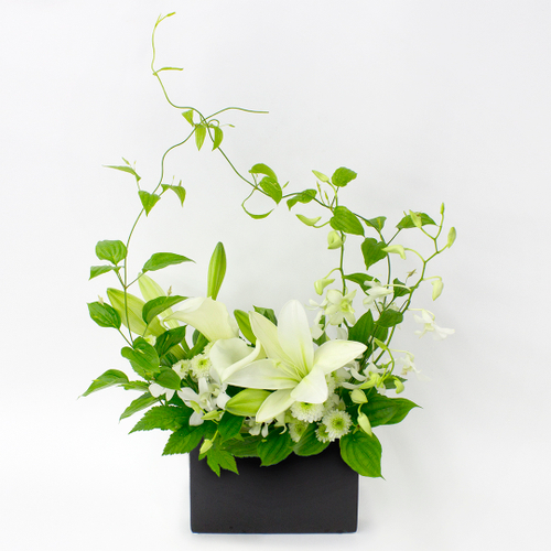 『和』なごみシリーズ　MB　￥11,000（税込）