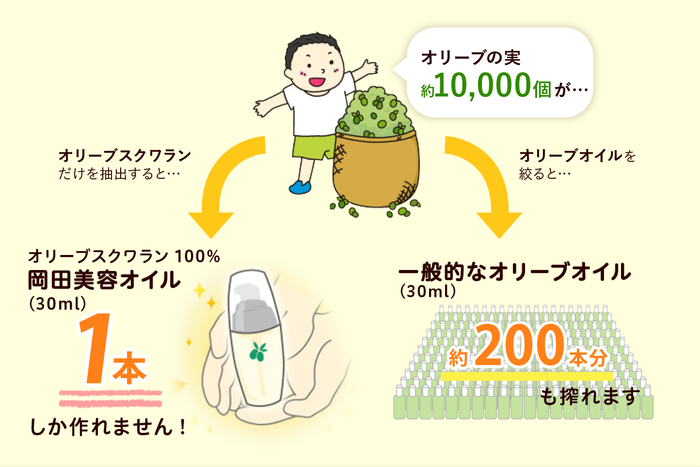 オリーブの実約10,000個が&hellip;