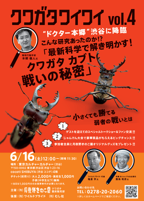 クワガタワイワイ