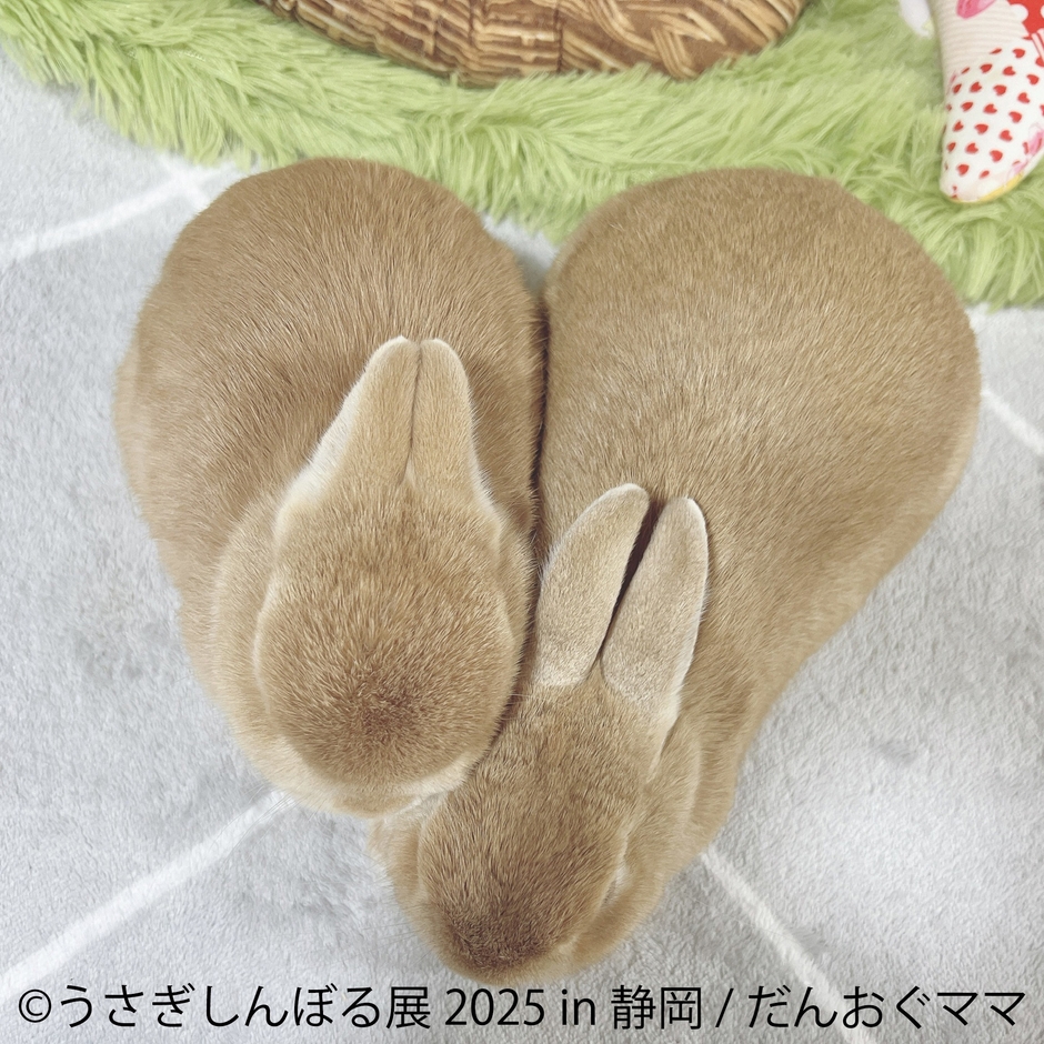 うさぎしんぼる展 展示作品3