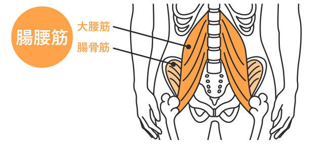 ヤセ菌をキープする