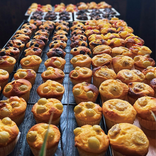 image5(フードエリア／イメージ)