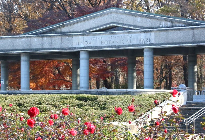 （令和4年撮影）