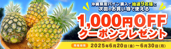 沖縄パイン1,000円OFFクーポン