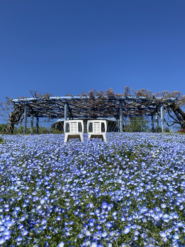 ガーデンミュージアム比叡