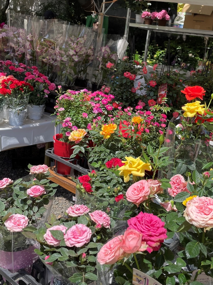 花苗販売