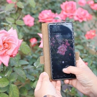 「バラノナ」（使用イメージ）