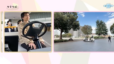 動画をキャプチャした画像